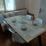 펜션 Skiron House *